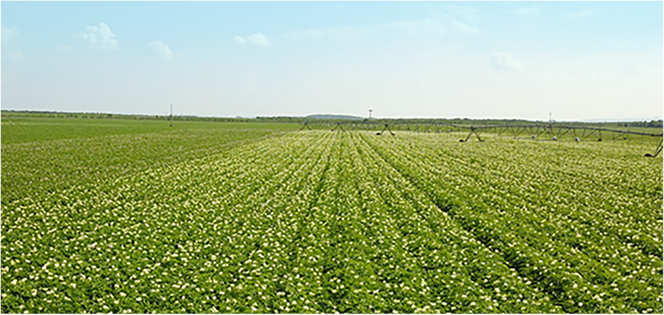 55世纪-购彩大厅welcome(中国游)官方网站